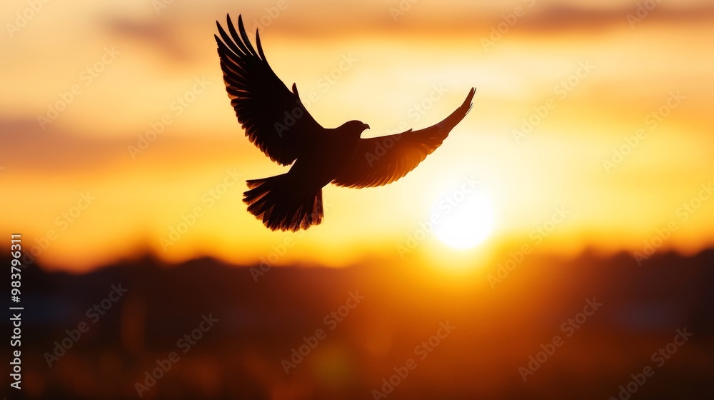 Obraz premium A lone bird flying high over an open landscape, its silhouette framed by the golden light of the setting sun
