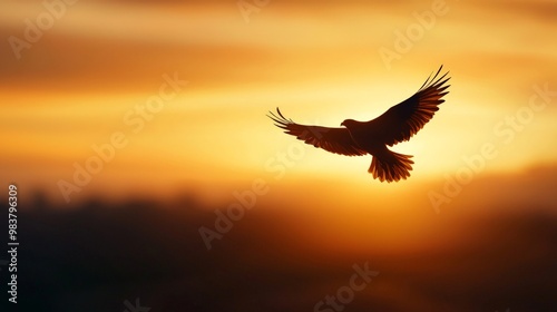 A lone bird flying high over an open landscape, its silhouette framed by the golden light of the setting sun