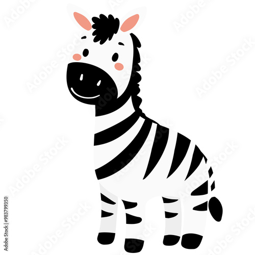 Photography Zebra