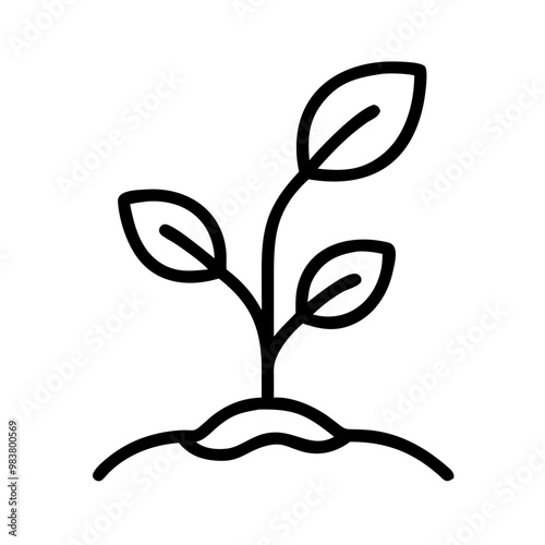 Growing Plant
