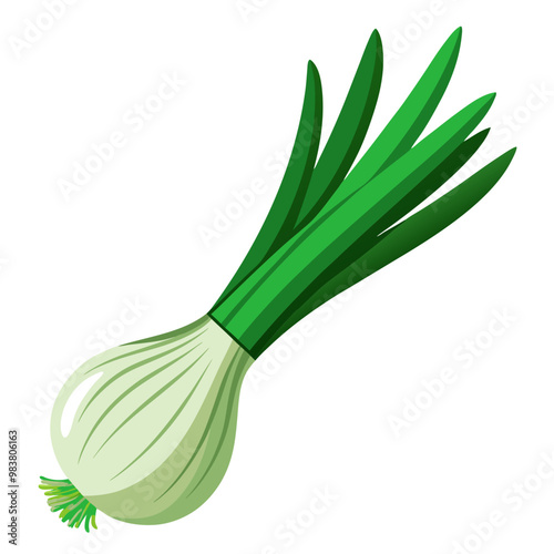 Fresh green onion or scallion vector illustration
