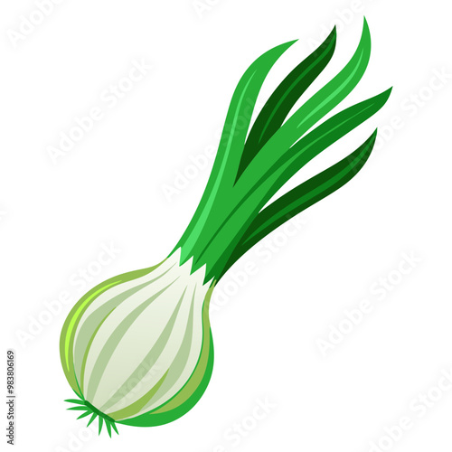 Fresh green onion or scallion vector illustration

