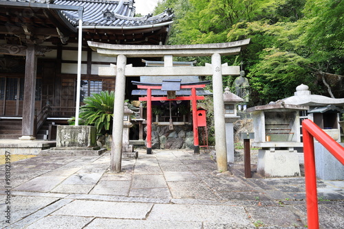  A Japanese temple : a scene of the precincts of Sanmyo-in Temple in Kyoto City　日本のお寺：京都市にある三明院境内の風景 photo