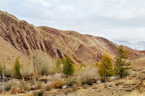 Scenic view of rugged hills and autumn foliage in a mountainous landscape. photo