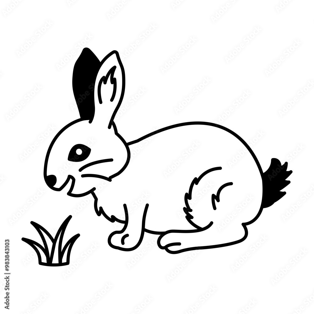 custom made wallpaper toronto digitalHand drawn icon of rabbit eating grass 