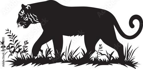 silhouette of a tiger