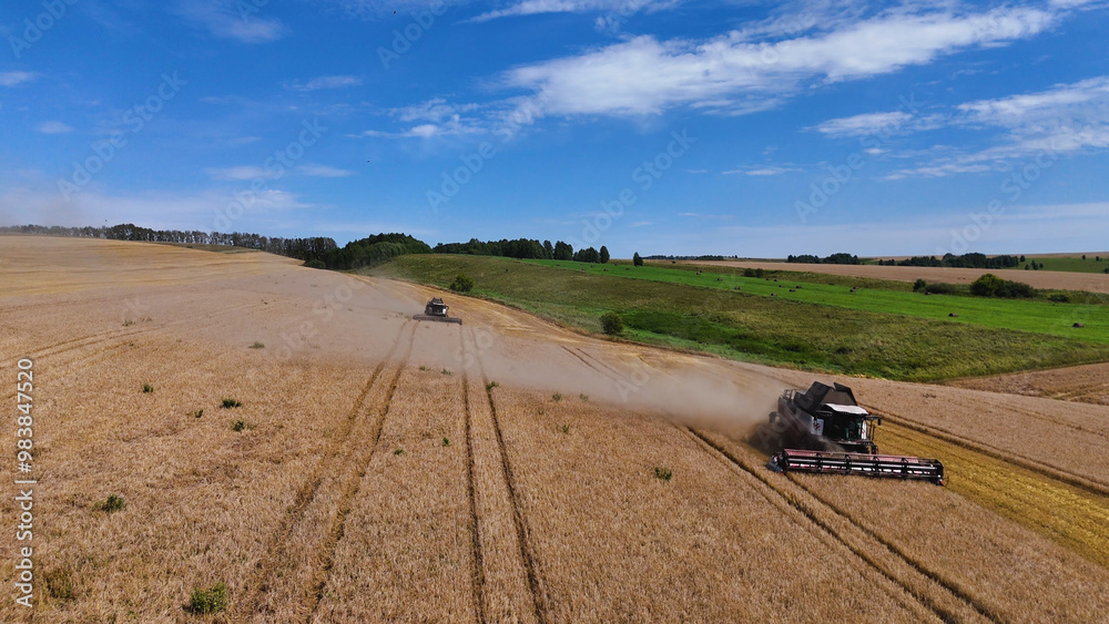 Obraz premium a combine harvester in a wheat field performs harvesting operations
