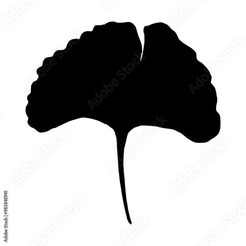 silhouette of a leaf