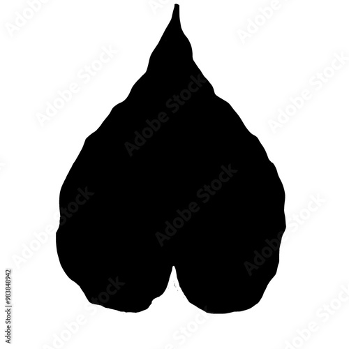 black silhouette of leaf