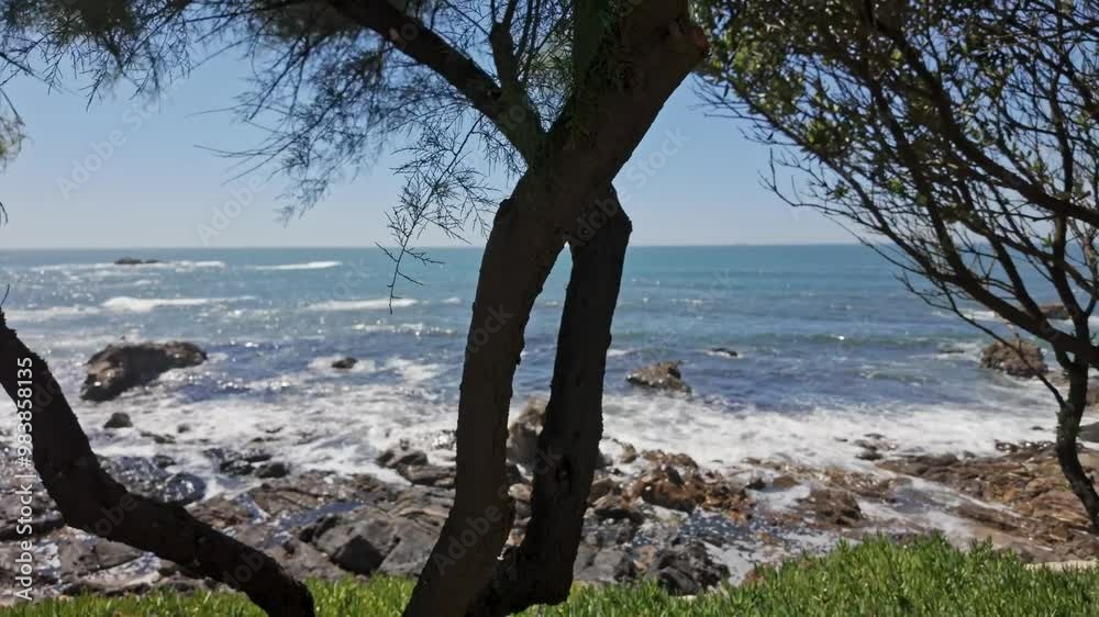 Waves crash on rocky shores framed by trees at Porto’s Praia do Molhe on a bright sunny day Waves crash on rocky shores framed by trees at Porto’s Praia do Molhe on a bright sunny day