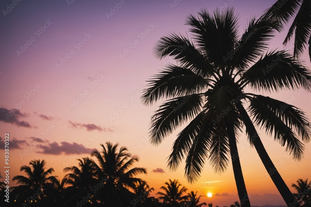 Obraz premium copy space of silhouette tropical palm tree on sunset sky with bokeh light leak abstract background