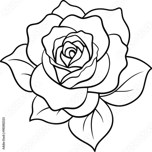 rose flower line art vector illustration silhouette, Print