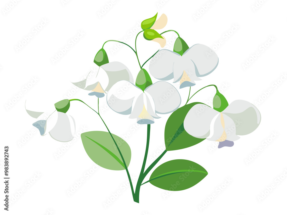 Elegant Sweet Pea Flower Illustration - Soft Pink and Red Petals with Lush Green Leaves, Ideal for Romantic and Spring Themes, Sweet Pea Flower vector Illustration, Sweet Pea vector Illustration Elegant Sweet Pea Flower Illustration - Soft Pink and Red Petals with Lush Green Leaves, Ideal for Romantic and Spring Themes, Sweet Pea Flower vector Illustration, Sweet Pea vector Illustration