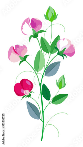 Elegant Sweet Pea Flower Illustration - Soft Pink and Red Petals with Lush Green Leaves, Ideal for Romantic and Spring Themes, Sweet Pea Flower vector Illustration, Sweet Pea vector Illustration