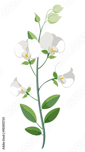 Elegant Sweet Pea Flower Illustration - Soft Pink and Red Petals with Lush Green Leaves, Ideal for Romantic and Spring Themes, Sweet Pea Flower vector Illustration, Sweet Pea vector Illustration
