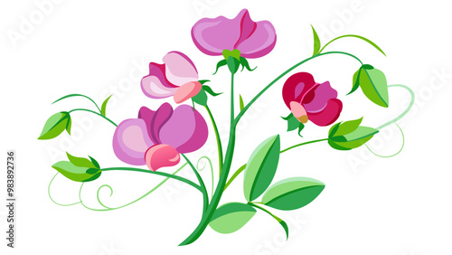 Elegant Sweet Pea Flower Illustration - Soft Pink and Red Petals with Lush Green Leaves, Ideal for Romantic and Spring Themes, Sweet Pea Flower vector Illustration, Sweet Pea vector Illustration
