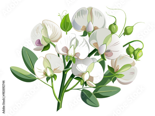 Elegant Sweet Pea Flower Illustration - Soft Pink and Red Petals with Lush Green Leaves, Ideal for Romantic and Spring Themes, Sweet Pea Flower vector Illustration, Sweet Pea vector Illustration