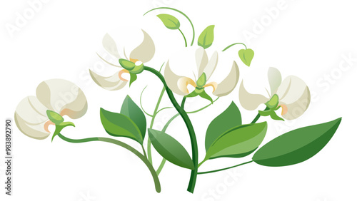 Elegant Sweet Pea Flower Illustration - Soft Pink and Red Petals with Lush Green Leaves, Ideal for Romantic and Spring Themes, Sweet Pea Flower vector Illustration, Sweet Pea vector Illustration