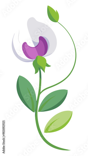 Elegant Sweet Pea Flower Illustration - Soft Pink and Red Petals with Lush Green Leaves, Ideal for Romantic and Spring Themes, Sweet Pea Flower vector Illustration, Sweet Pea vector Illustration