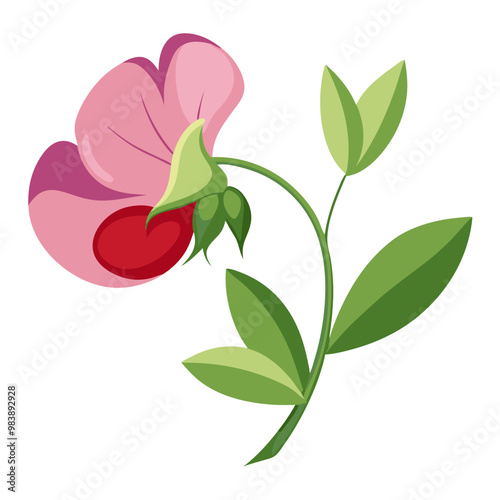 Elegant Sweet Pea Flower Illustration - Soft Pink and Red Petals with Lush Green Leaves, Ideal for Romantic and Spring Themes, Sweet Pea Flower vector Illustration, Sweet Pea vector Illustration