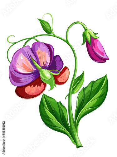 Elegant Sweet Pea Flower Illustration - Soft Pink and Red Petals with Lush Green Leaves, Ideal for Romantic and Spring Themes, Sweet Pea Flower vector Illustration, Sweet Pea vector Illustration
