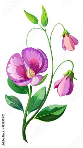 Elegant Sweet Pea Flower Illustration - Soft Pink and Red Petals with Lush Green Leaves, Ideal for Romantic and Spring Themes, Sweet Pea Flower vector Illustration, Sweet Pea vector Illustration