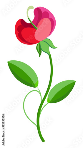 Elegant Sweet Pea Flower Illustration - Soft Pink and Red Petals with Lush Green Leaves, Ideal for Romantic and Spring Themes, Sweet Pea Flower vector Illustration, Sweet Pea vector Illustration