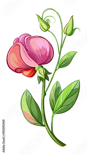 Elegant Sweet Pea Flower Illustration - Soft Pink and Red Petals with Lush Green Leaves, Ideal for Romantic and Spring Themes, Sweet Pea Flower vector Illustration, Sweet Pea vector Illustration