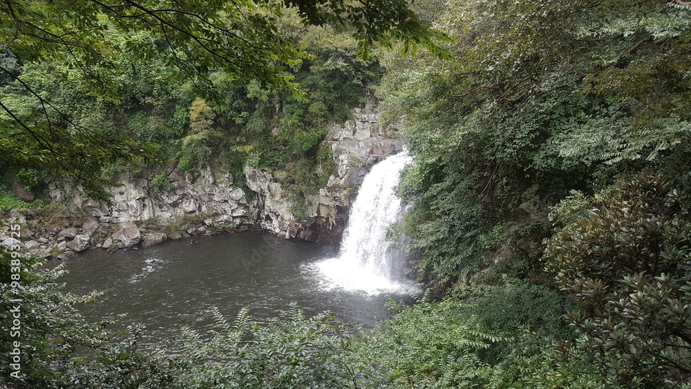 Fototapeta premium 제주폭포
