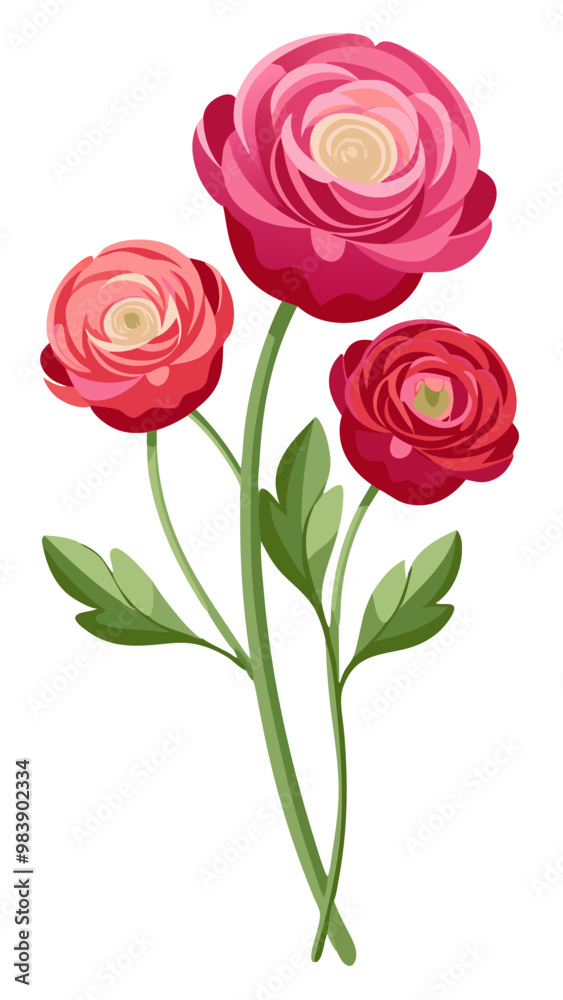 Stunning Ranunculus Flower Illustration with Layered Orange and Pink Petals - Perfect for Spring and Romantic Floral Designs, Ranunculus Flower Vector Illustration. Ranunculus Vector Illustration

