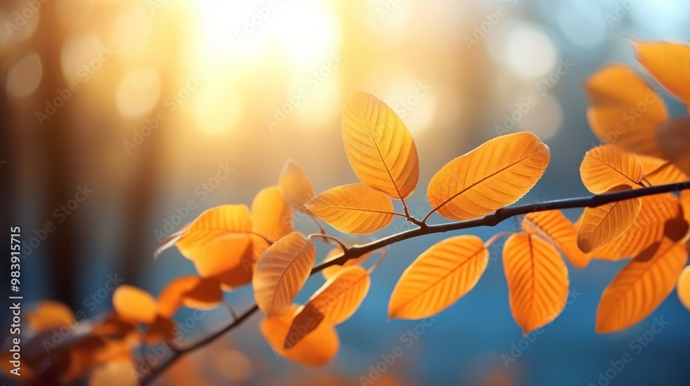 Autumn yellow leaf closeup. Bright orange tree change. Blur bokeh on background. Golden color in park Light sunny warm october day. Red leaves in garden Sun in blue sky. Fall nature woods sunset scene Autumn yellow leaf closeup. Bright orange tree change. Blur bokeh on background. Golden color in park Light sunny warm october day. Red leaves in garden Sun in blue sky. Fall nature woods sunset scene