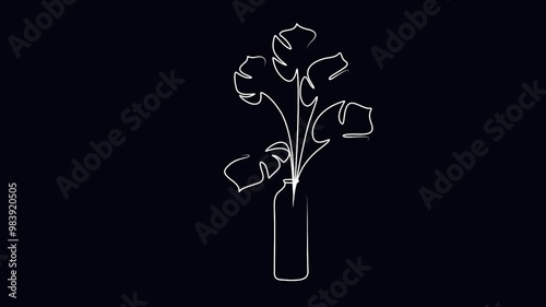 Monstera leaves an animated continuous single-line drawing. On a black background. Outline motion graphics.
