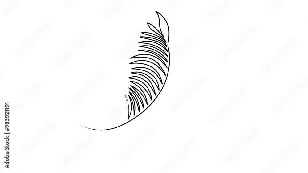 Palm leaves animated continuous single-line drawings. On white background animation. Outline motion graphics.  