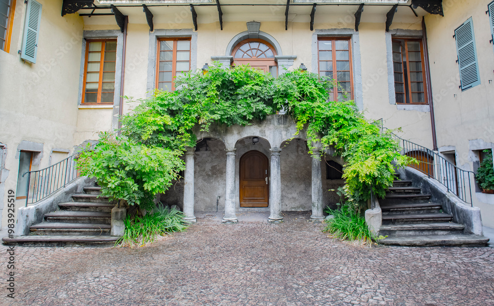 Fototapeta premium Wisteria in Annecy