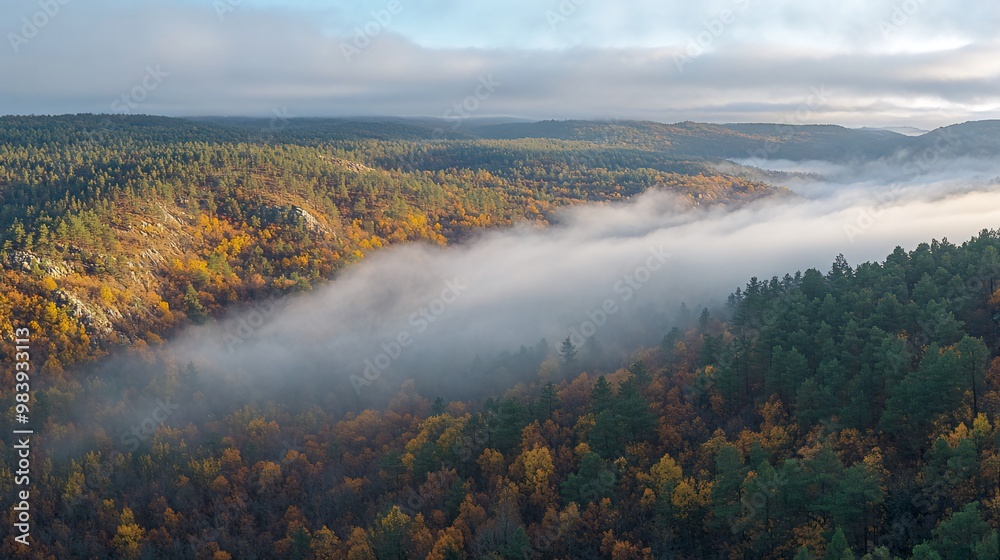 Aerial view of a valley filled with fog and autumnal foliage. Aerial view of a valley filled with fog and autumnal foliage.