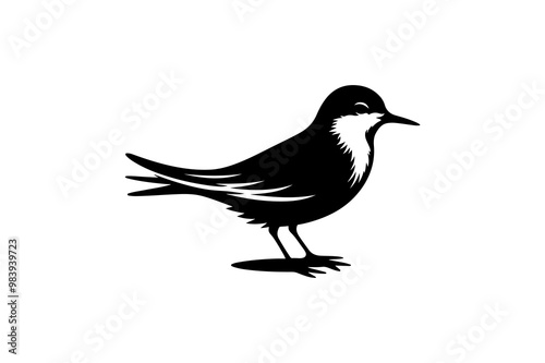 Tailor bird vector art and illustration photo