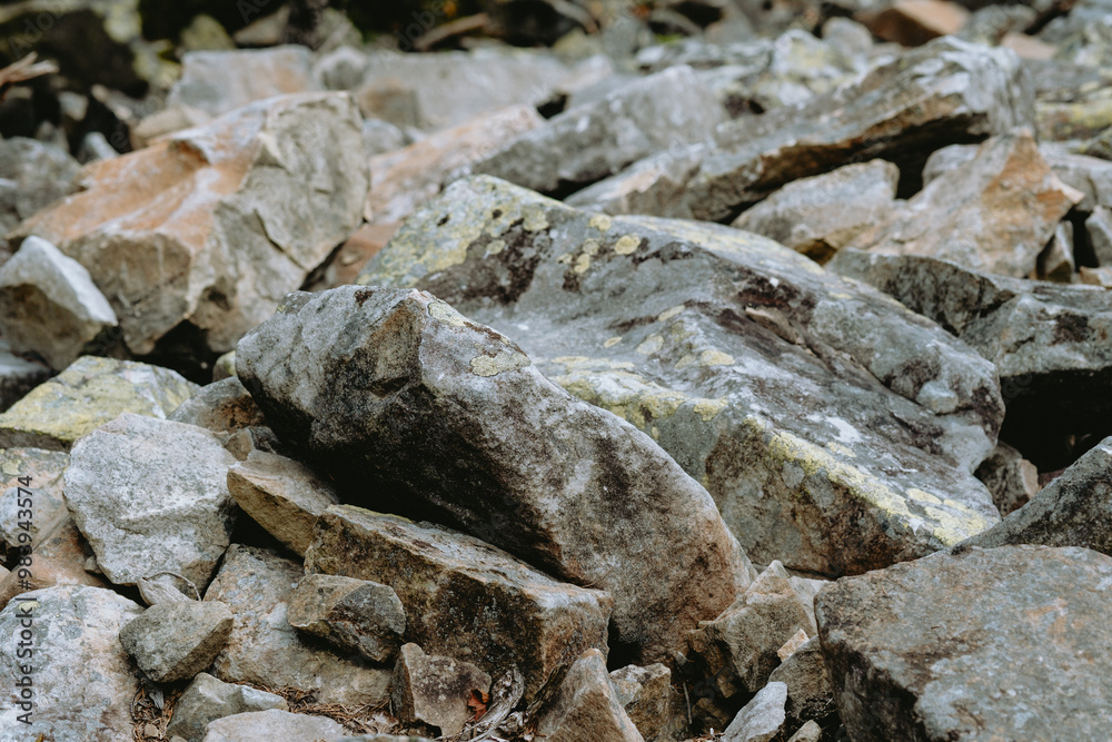 Close-up view of weathered rocks and stones scattered across a natural landscape in the forest during daylight hours Close-up view of weathered rocks and stones scattered across a natural landscape in the forest during daylight hours
