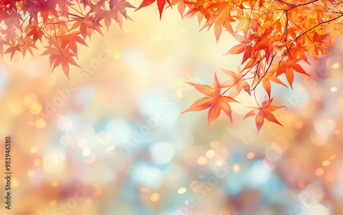 Autumn background with beautiful leaves and a blurred forest in the background.