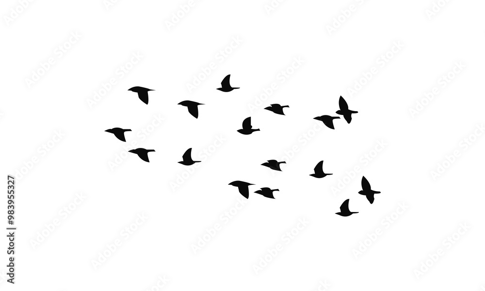 Flying Birds Vector Illustration Collection. 