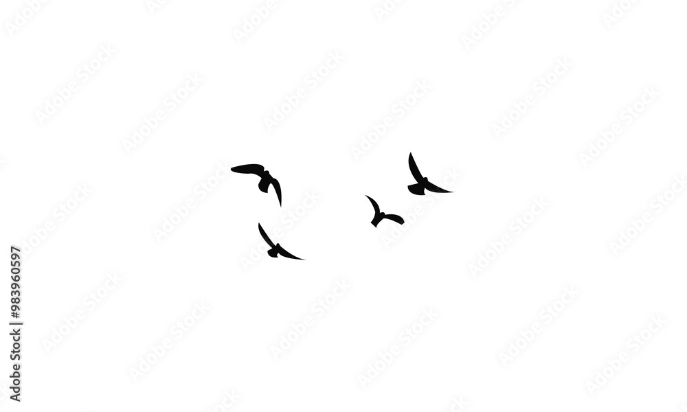 Obraz premium Flying Birds Vector Illustration Collection. 
