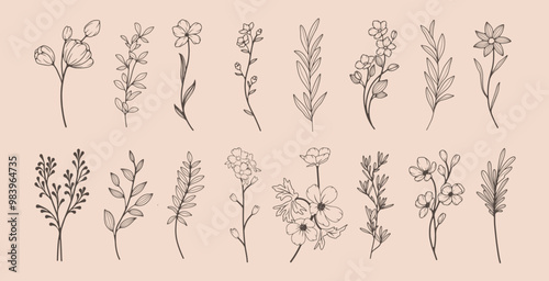Collection of simple delicate hand drawn flowers, leaves and branches in line art style. Trendy vector botanical sketch illustration on beige background