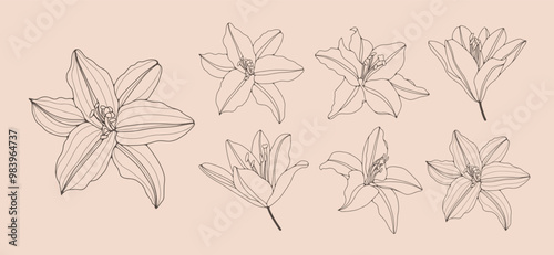 Collection of simple delicate hand drawn flowers in line art style. Trendy vector botanical sketch illustration on beige background