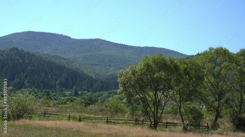 Wind in green trees. Nature. Mountains ranges Carpathian. Hill forest and meadow valley in summer. Blue sky. Wind in green trees. Nature. Mountains ranges Carpathian. Hill forest and meadow valley in summer. Blue sky.