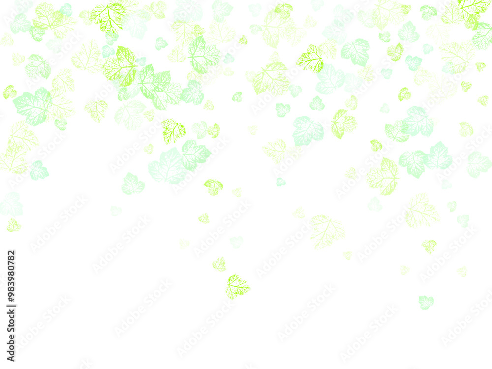 Autumn falling leaves isolated on white background. Flying green leaves. Autumn falling leaves isolated on white background. Flying green leaves.