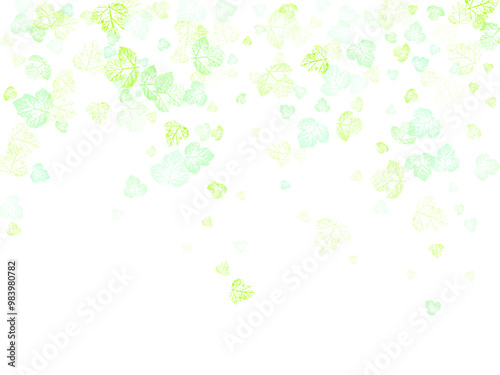 Autumn falling leaves isolated on white background.  Flying green leaves. 