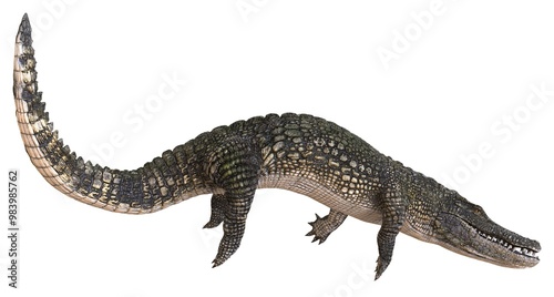 Alligator isolated on white background 3d illustration