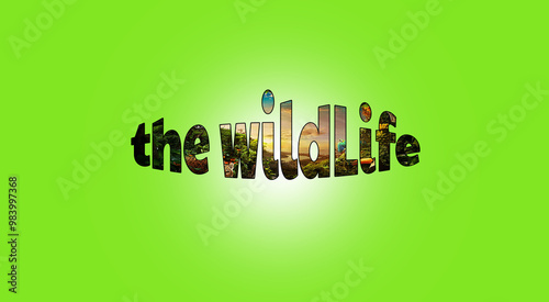 the wild life 