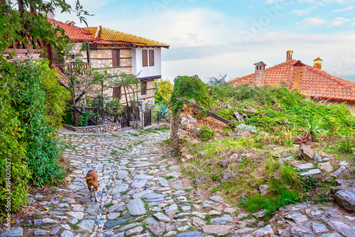 Obraz na płótnie Palaios Panteleimonas old village. Pieria, Greece w salonie