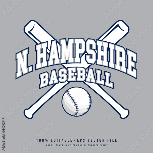 New Hampshire baseball college t-shirt design printable text effect vector photo