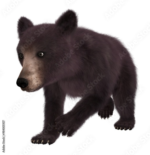 Black bear cub on white background. 3D illustration.